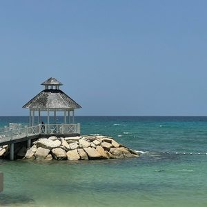 Meet your Posher, Mikki